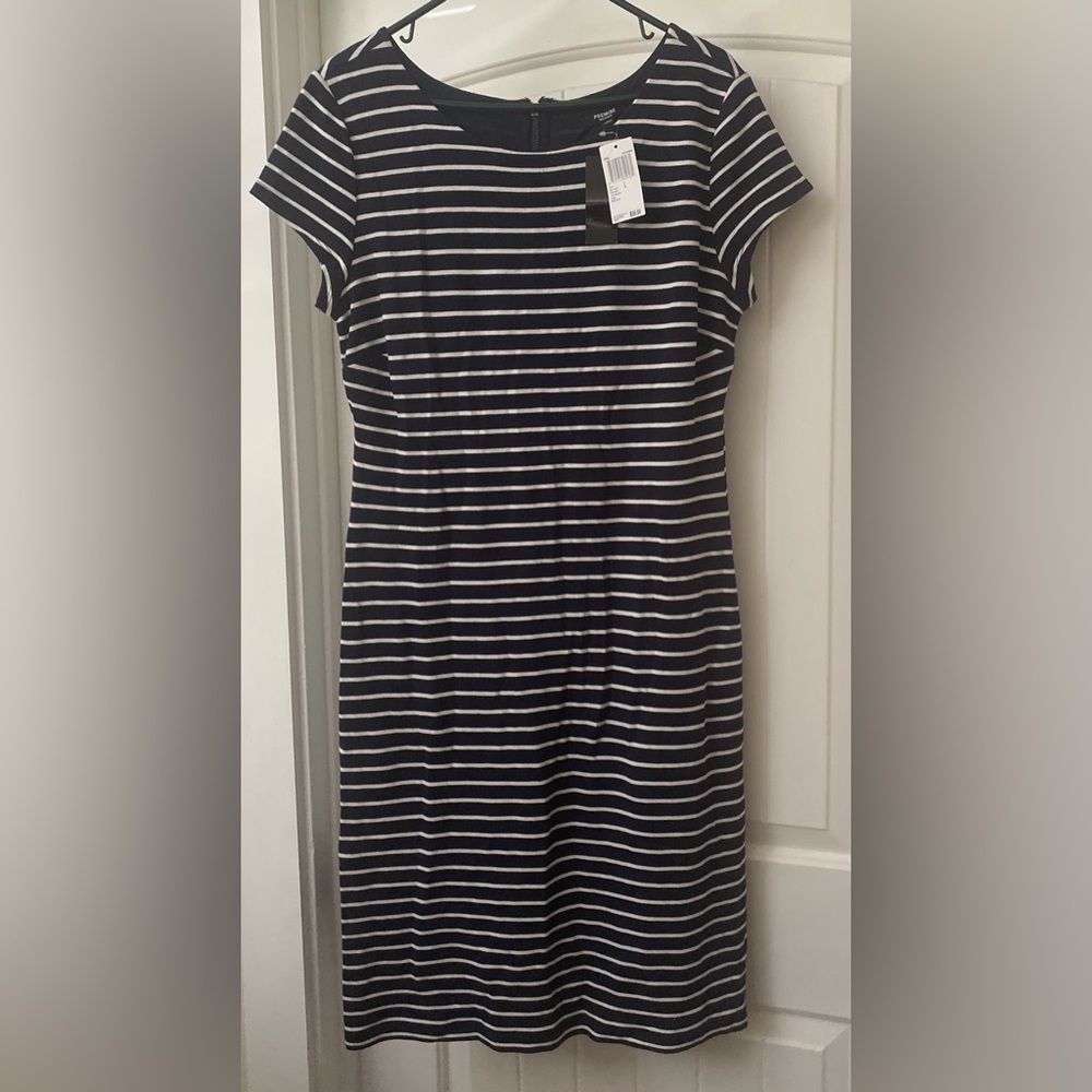 Premise Navy and White Striped Mini Dress
